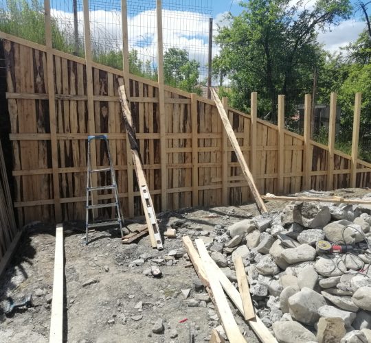 PHOTO-2026-07-02-19-23-37 12